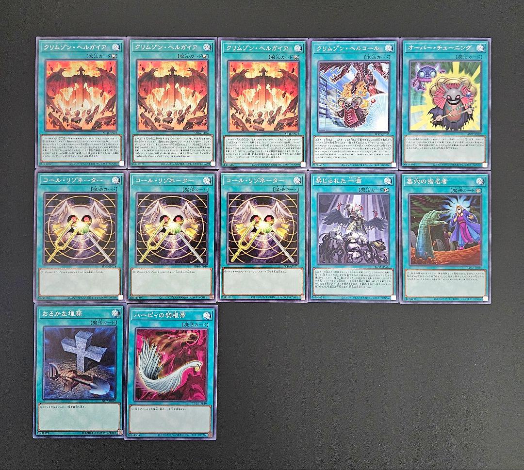 遊戯王 【本格構築】レッドデーモン 構築済みデッキ スカーレッド リゾネーター
