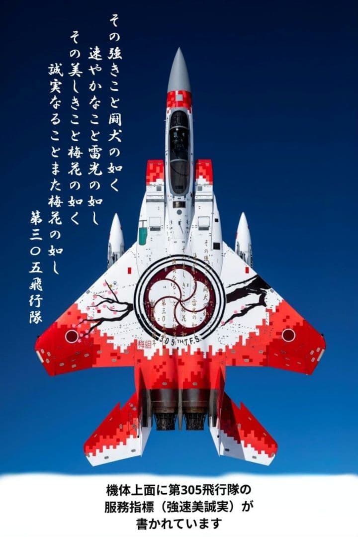 プラッツ製F-15J 305SQ　40thAnniversary　 梅組　完成品