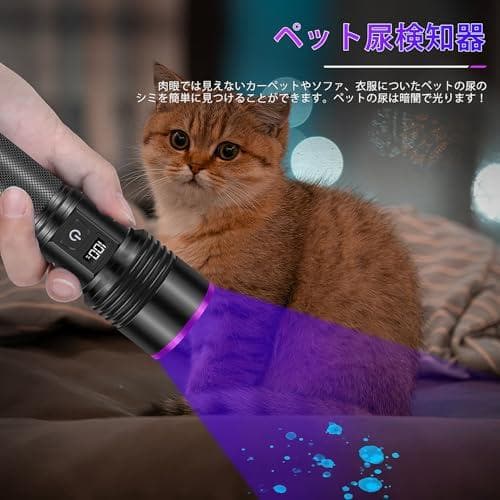 ブラックライト 365nm 30ｗ 無段階調光 uvライト 電量指示 アニサキp