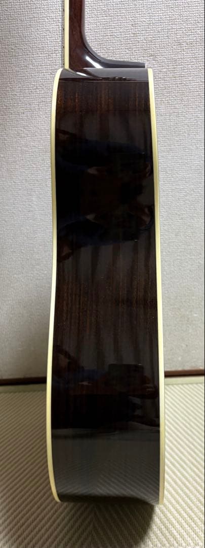 Tokai cat's eyesキャッツアイCE80 ハードケース他付属品付