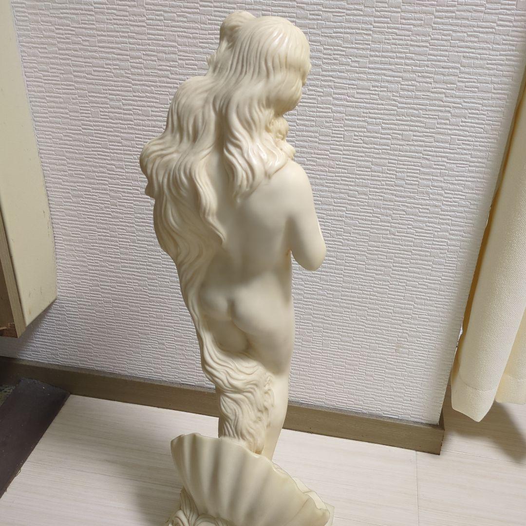 綺麗なヴィーナス像