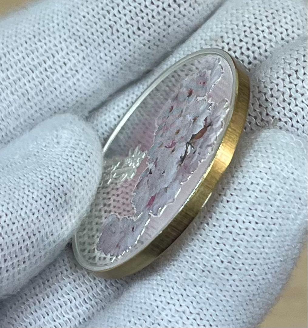 造幣局 桜の通り抜け2010都錦 セット出し銀メダル（silver925）