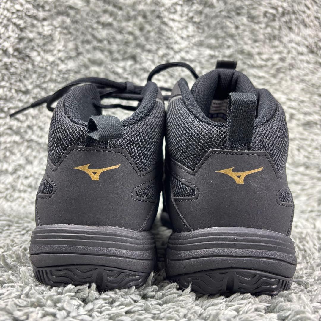 Mizuno Wave Dancer 24 JP ブラックシューズ 中古