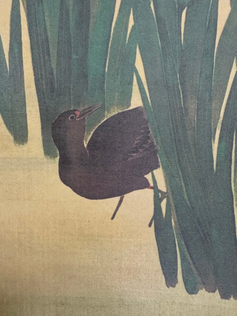 酒井抱一『十二か月花鳥図』五月『燕子花に鷭図』掛軸 復刻版 手彩色