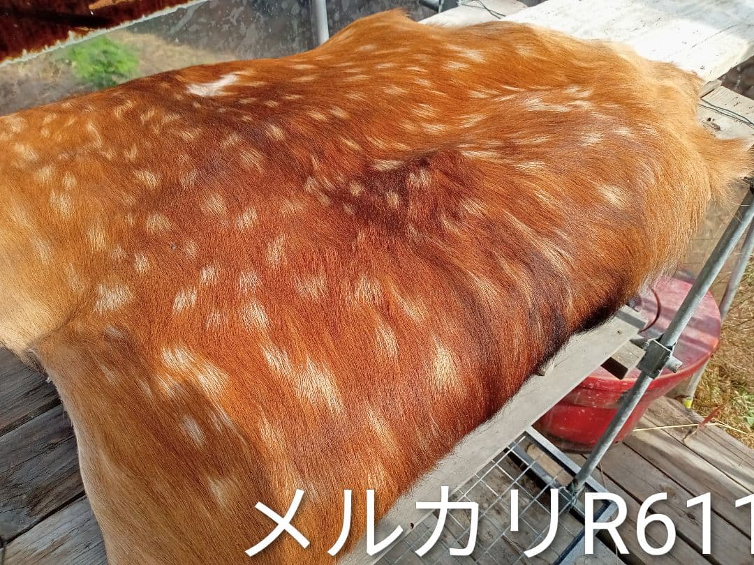 天然日本鹿　毛布・ブランケット
