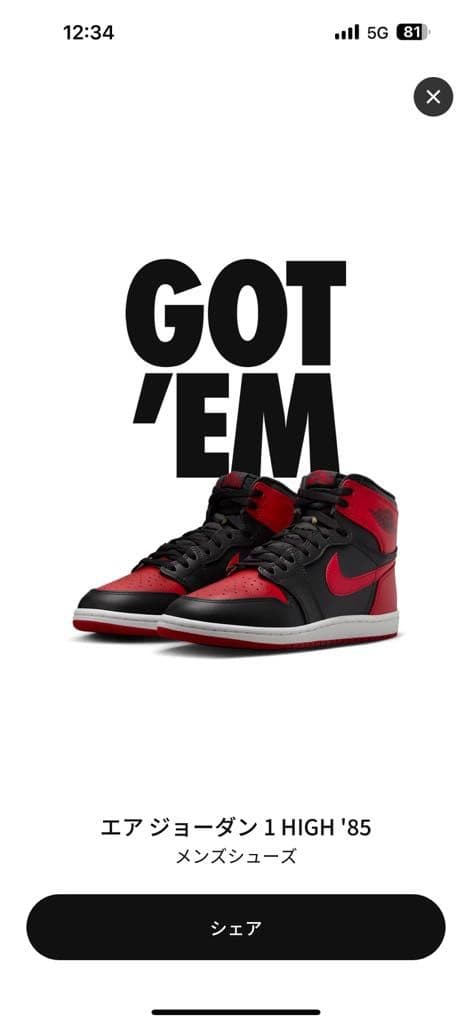 シューズ(女性用) AIR JORRDAN1 HIGH 86 black/red-white