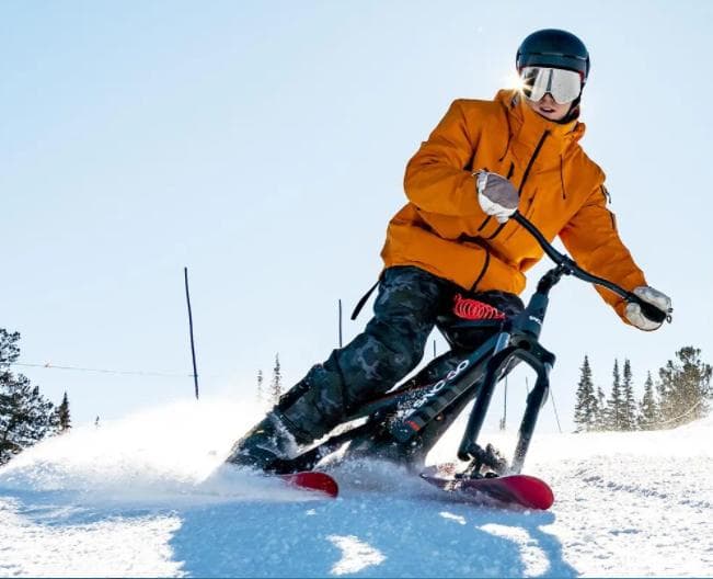 SNO-GO スノーゴー 2023年モデル スノースクート スノーボード スキー