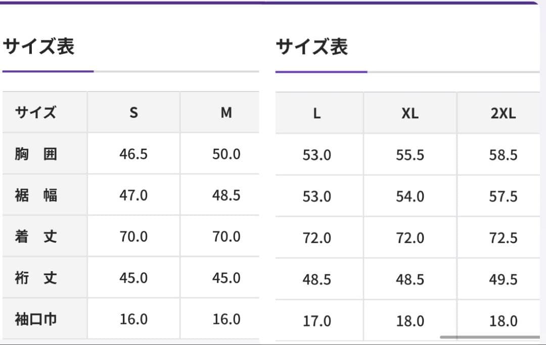 サンフレッチェ広島 2025シーズンレプリカユニフォーム (1st) XL