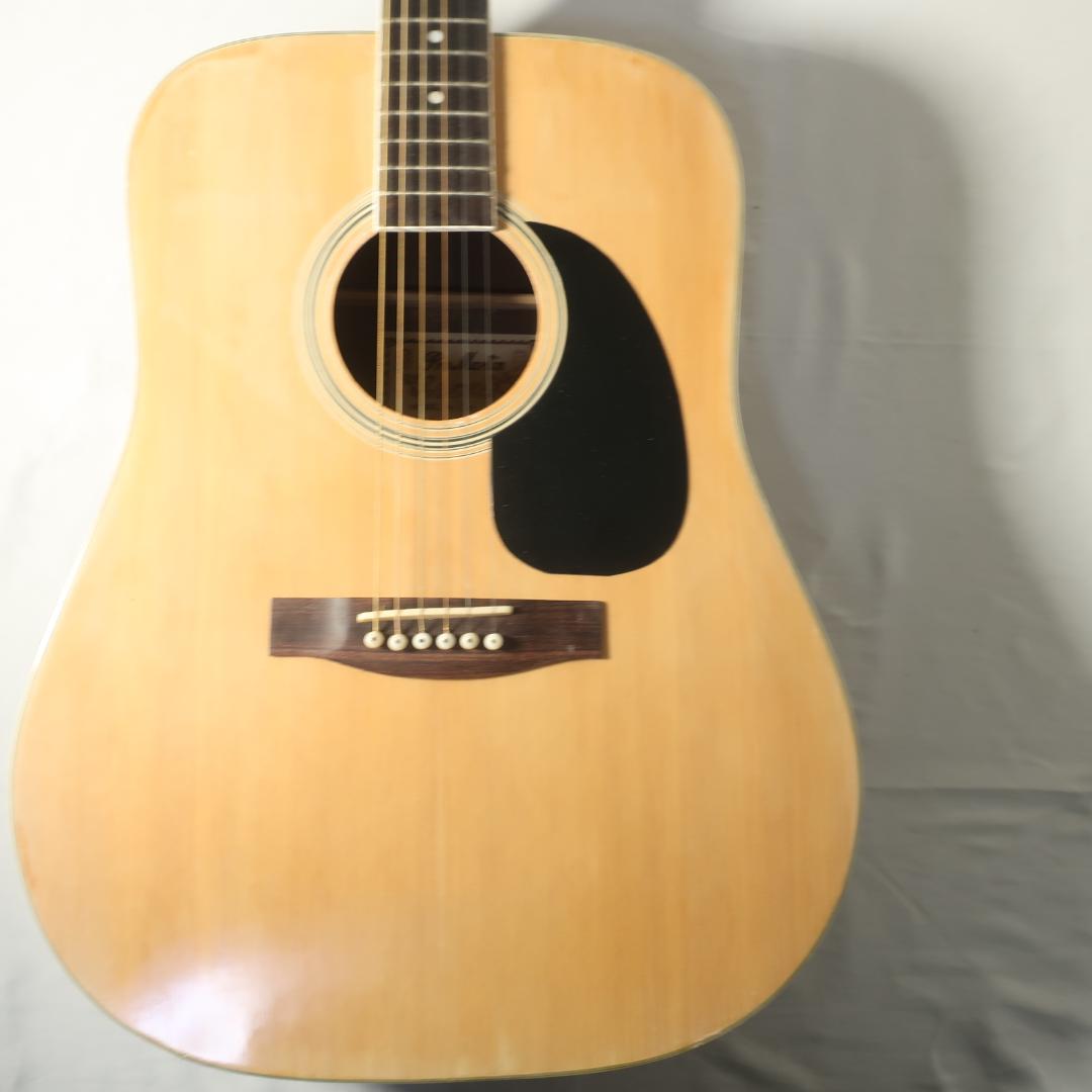 Pro Martin W-180-N アコースティックギター 難あり