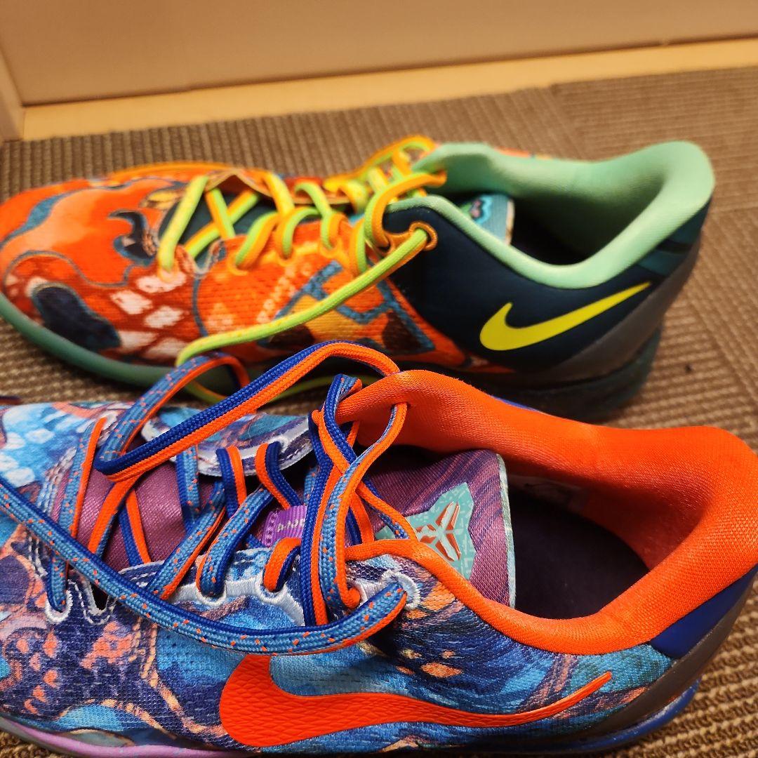 Kobe VIII Protro What the kobe？