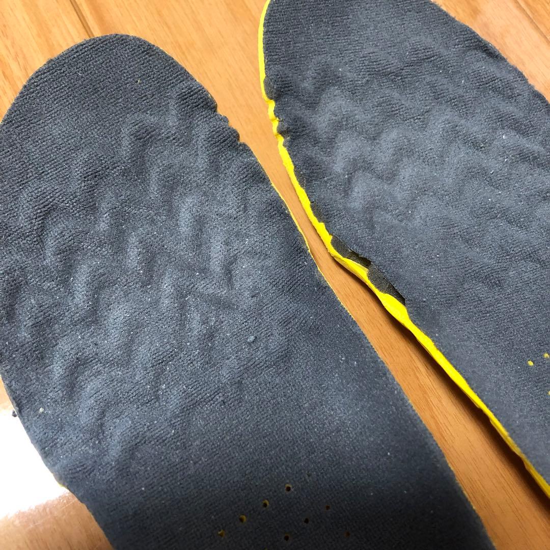 バドミントンシューズ 24.5 Li-ning GYRFALCON2