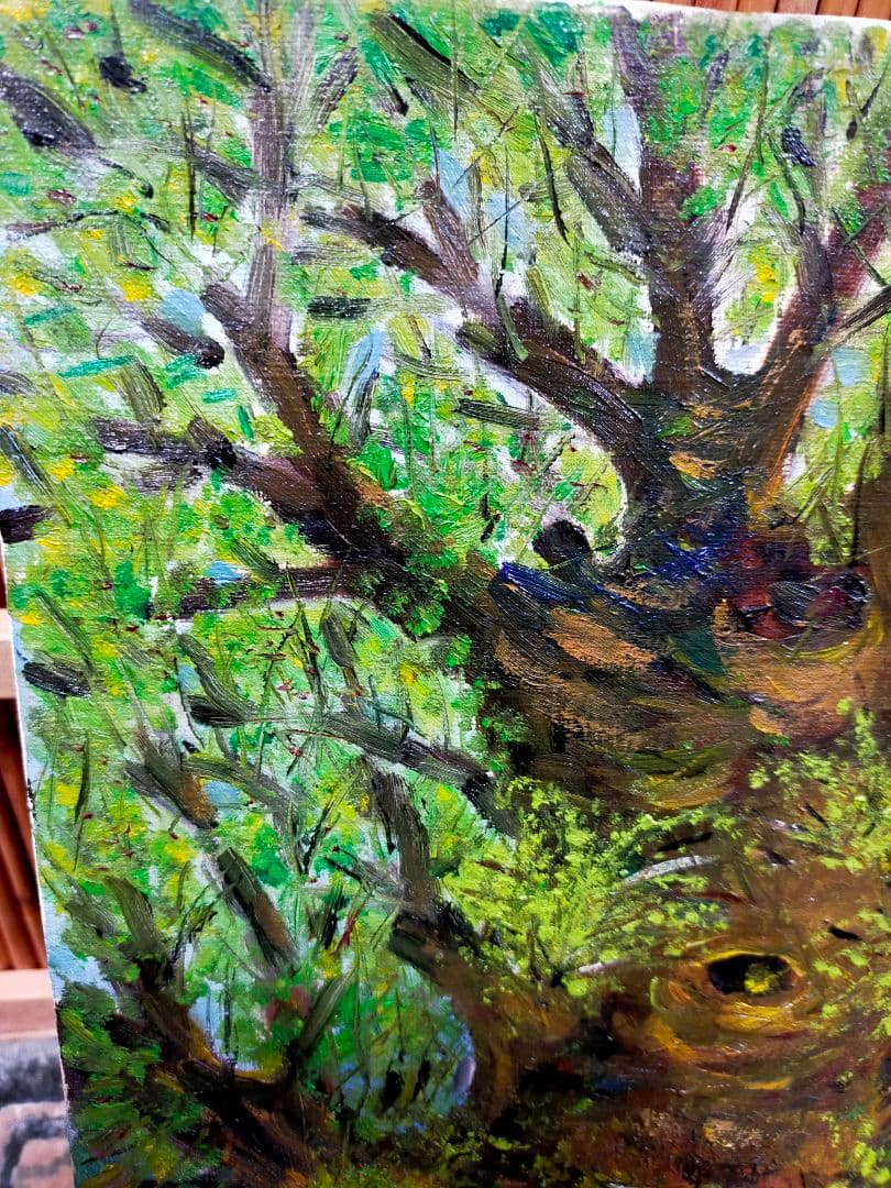 油彩画　けやき　1977　F4　油絵　骨董　古玩　アンティーク　レトロ