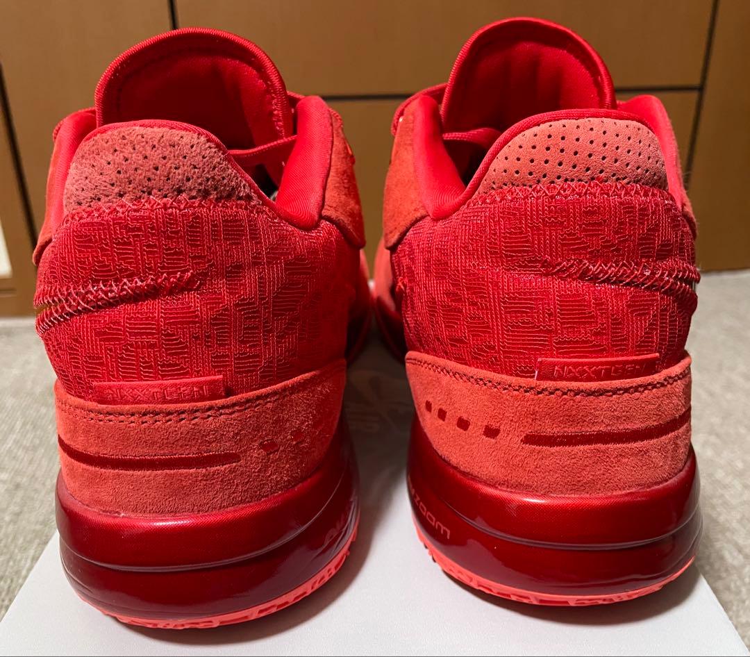 NIKE レブロン NXXT Gen AMPD EP 26.5