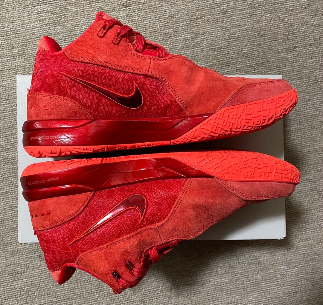 NIKE レブロン NXXT Gen AMPD EP 26.5