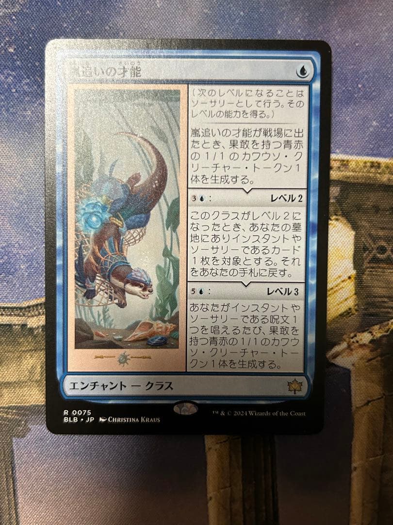 MTG　嵐追いの才能　日本語　4枚