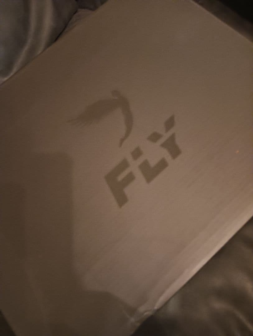 新品未使用　ＦＬY フライ　ボクシングシューズ　タグ箱付き　正規店購入