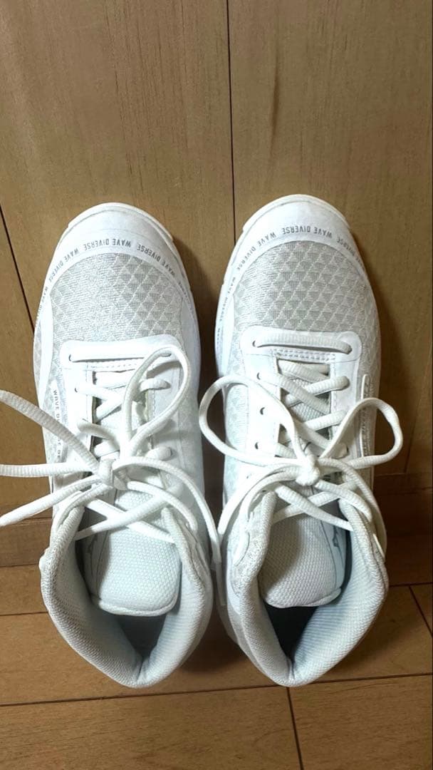 Mizuno ウェーズダイバーズDE2フィットネスシューズ　エアロシューズ