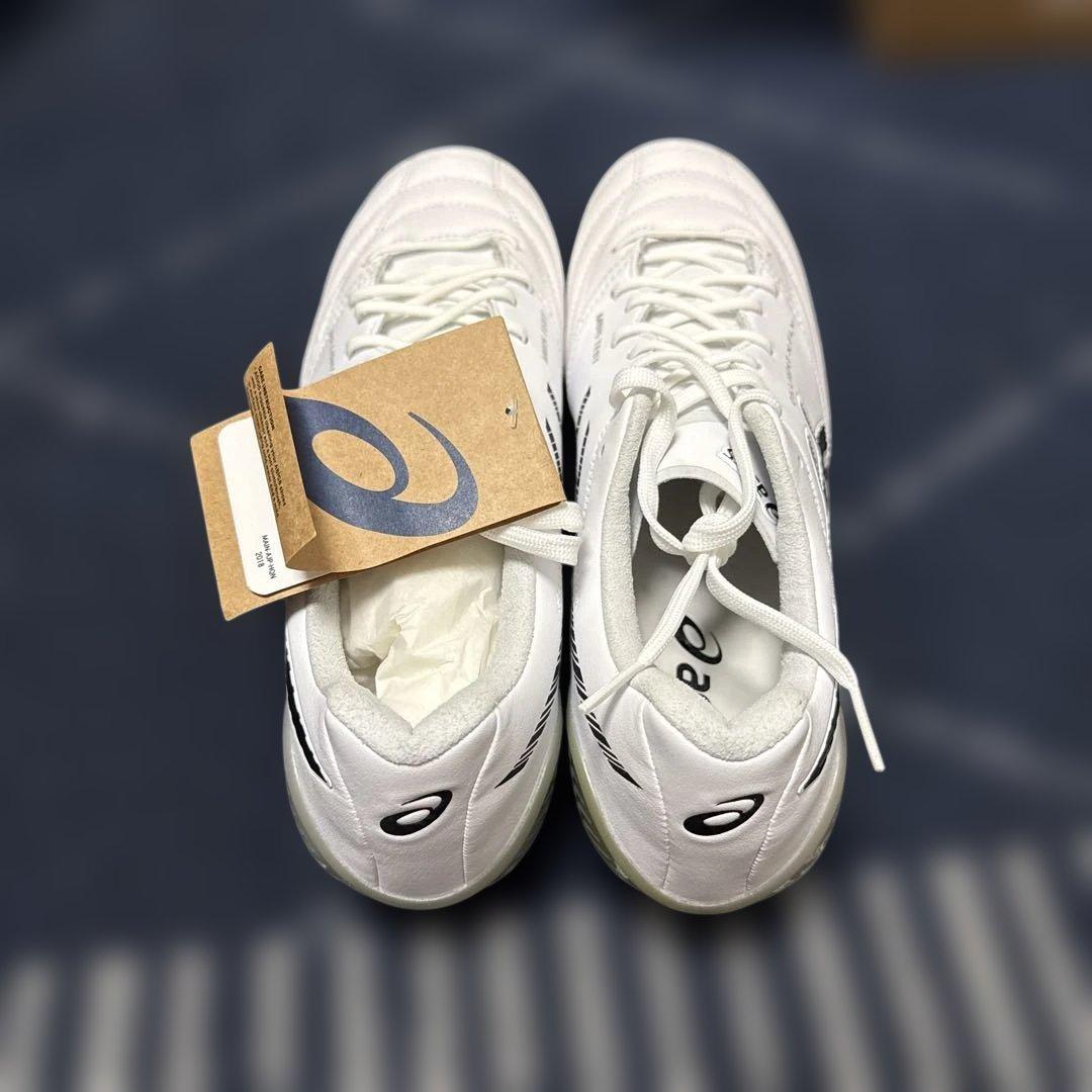シューズ asics DS LIGHT X-FLY 5