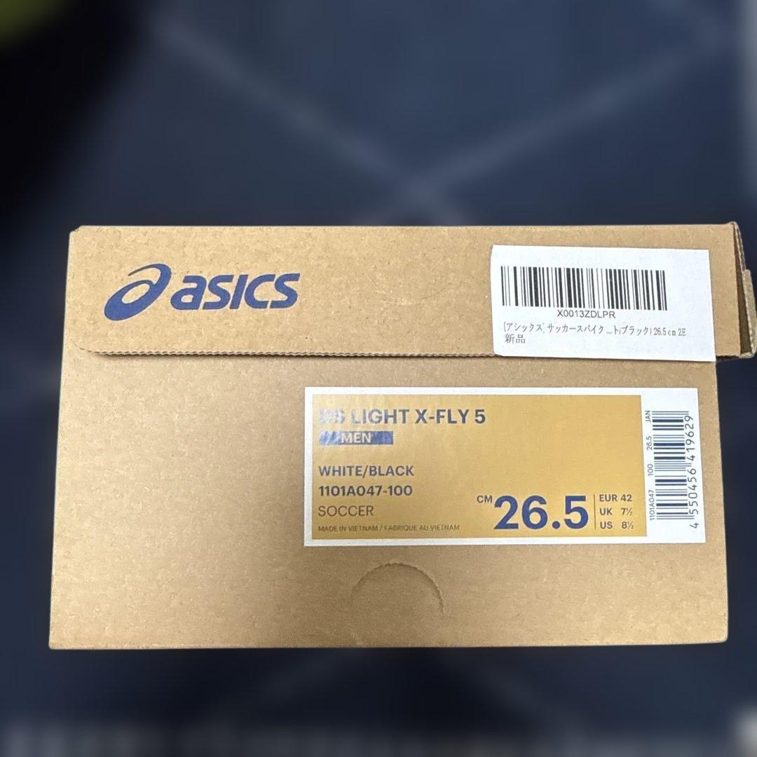 シューズ asics DS LIGHT X-FLY 5