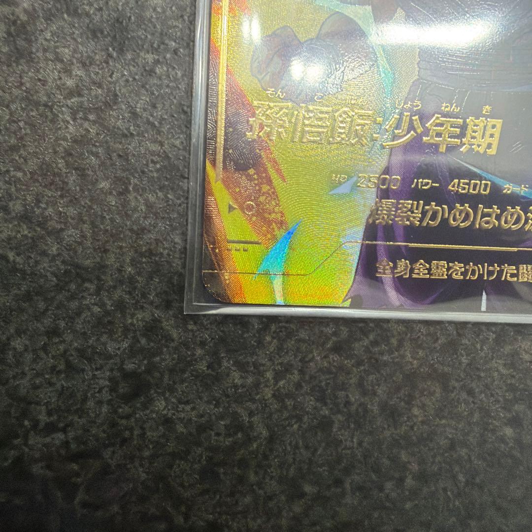 ドラゴンボールバイバース（SDV1）1弾悟飯・少年期 （GDR★/パラレル）5