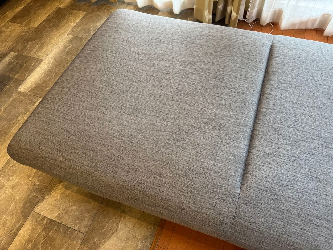 2024年春大丸購入 ligne roset prado 2人掛けソファ