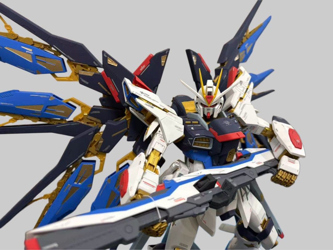 PG 1/60 ストライクフリーダムガンダム 完成品