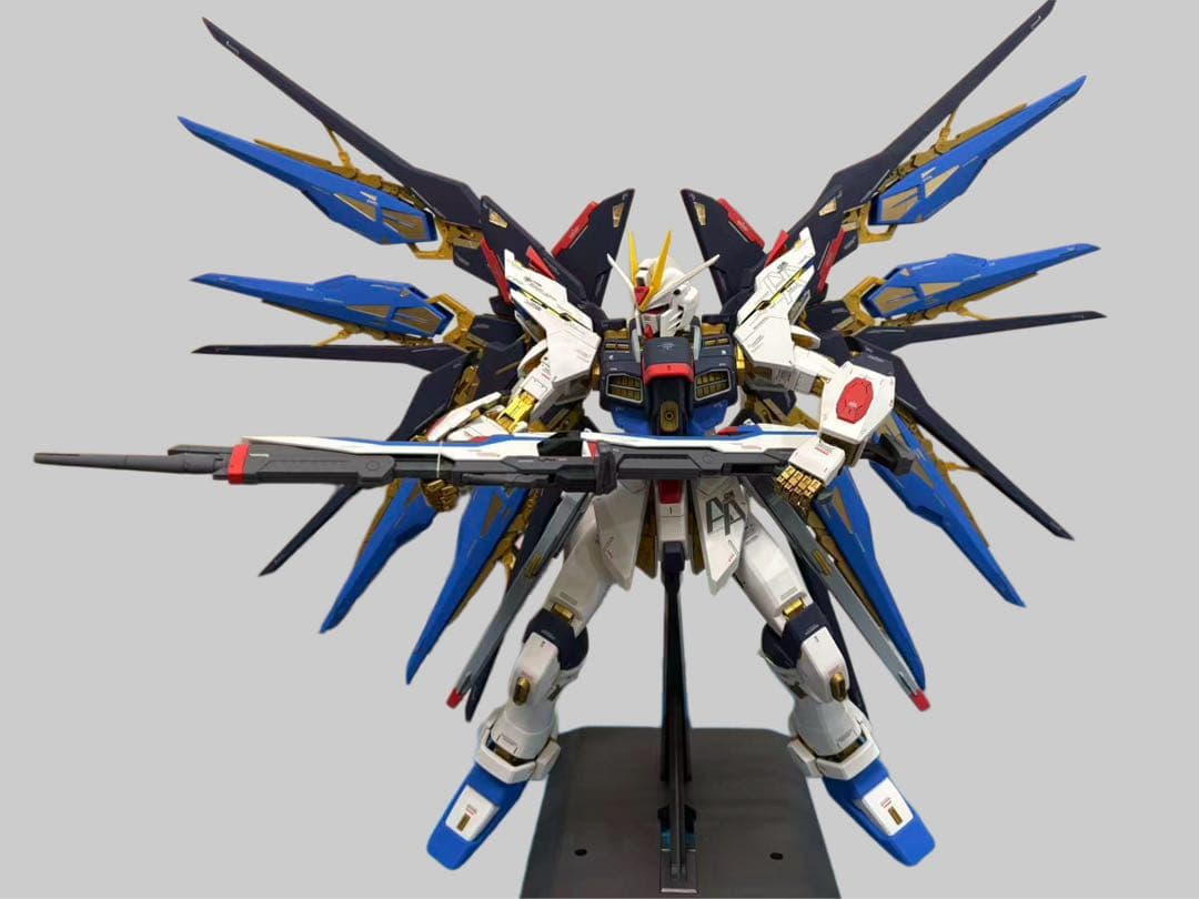 PG 1/60 ストライクフリーダムガンダム 完成品