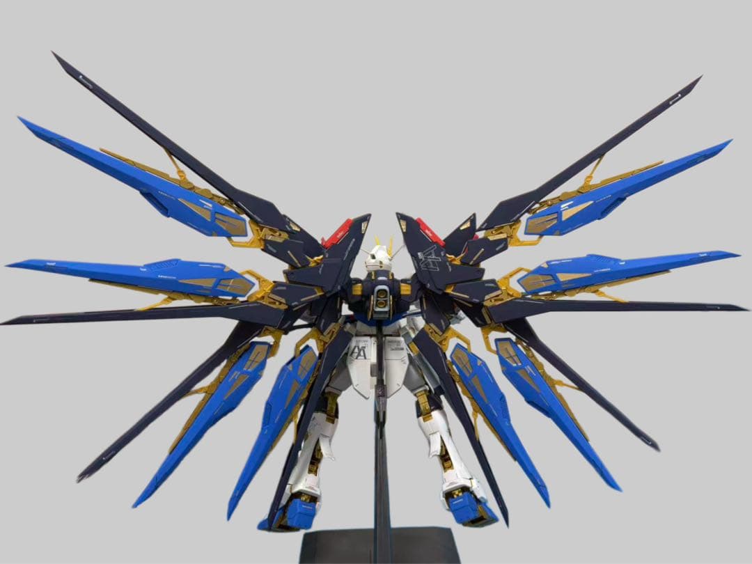 PG 1/60 ストライクフリーダムガンダム 完成品