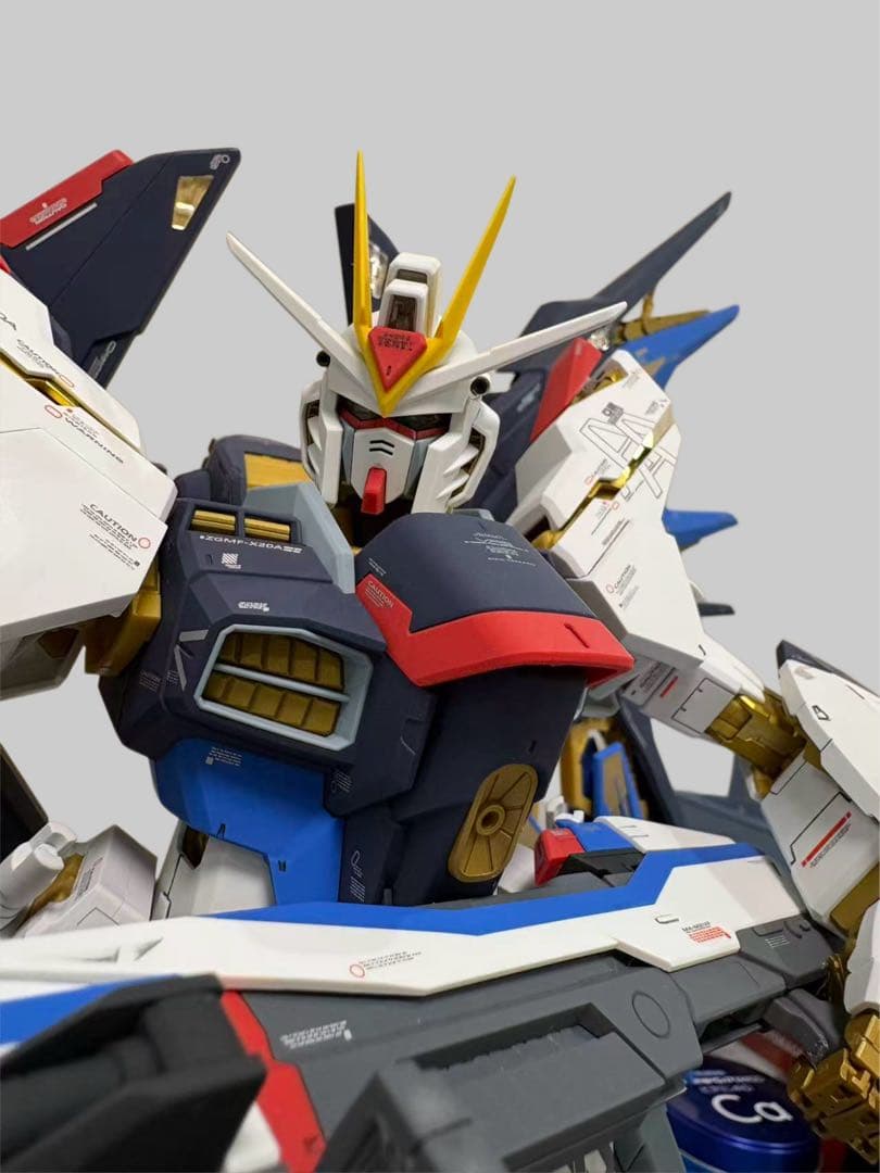 PG 1/60 ストライクフリーダムガンダム 完成品