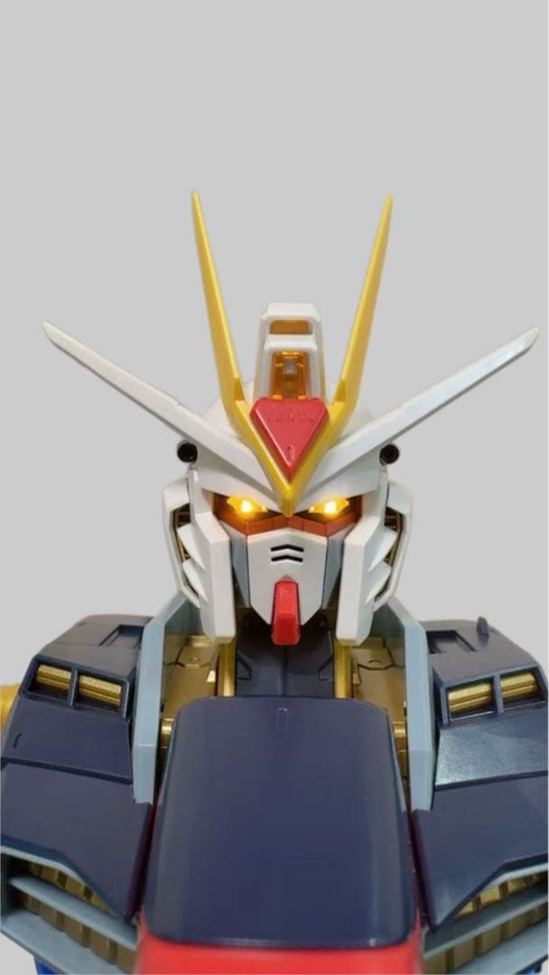 PG 1/60 ストライクフリーダムガンダム 完成品