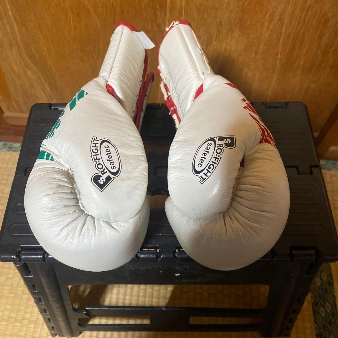 CLETO REYES セーフテック ボクシンググローブ