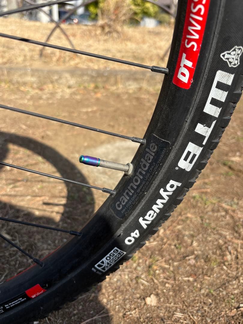Cannondale キャノンデールバッドボーイ2 2020 サイズL