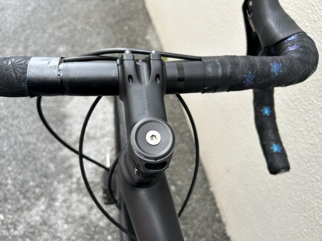 GIANT TCR ADVANCED 2 DISC SE S パワーメーター