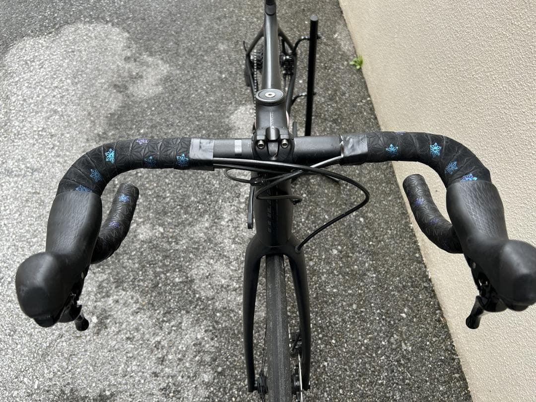 GIANT TCR ADVANCED 2 DISC SE S パワーメーター
