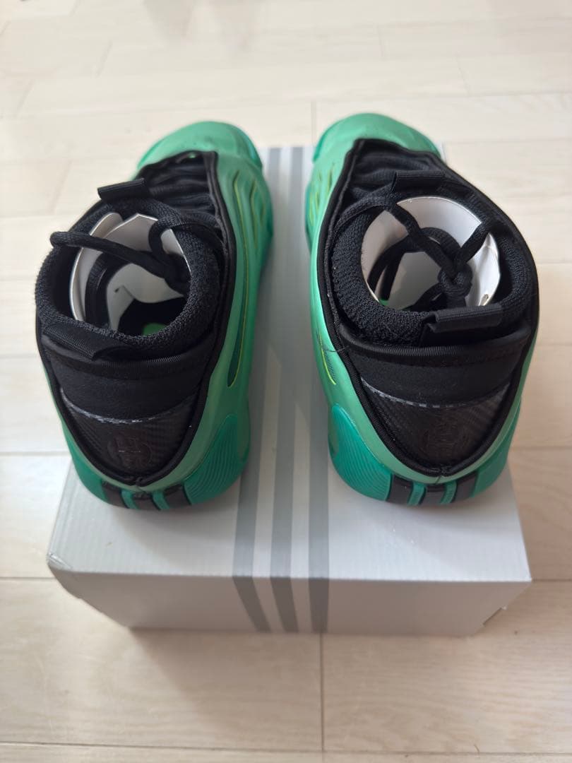 シューズ(男性用) HARDEN VOL.9 MORPHOSIS