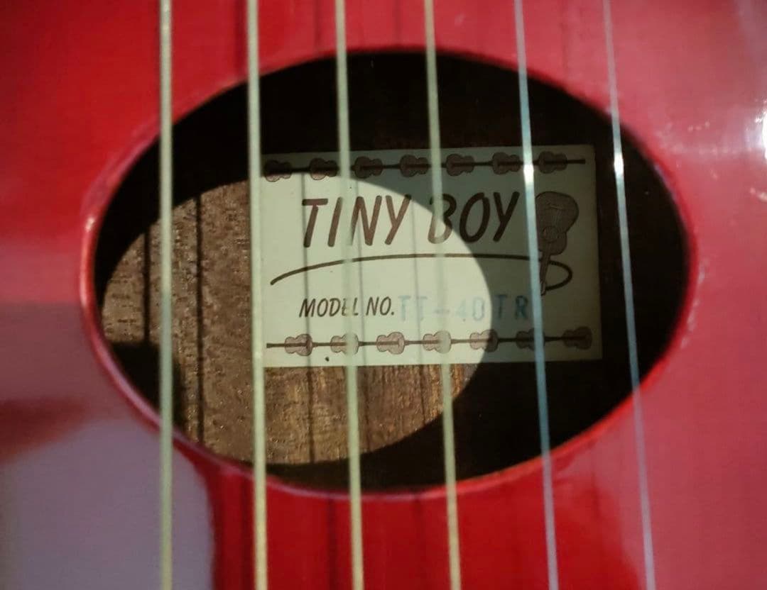 TINY BOY アコースティックギター T-40TR