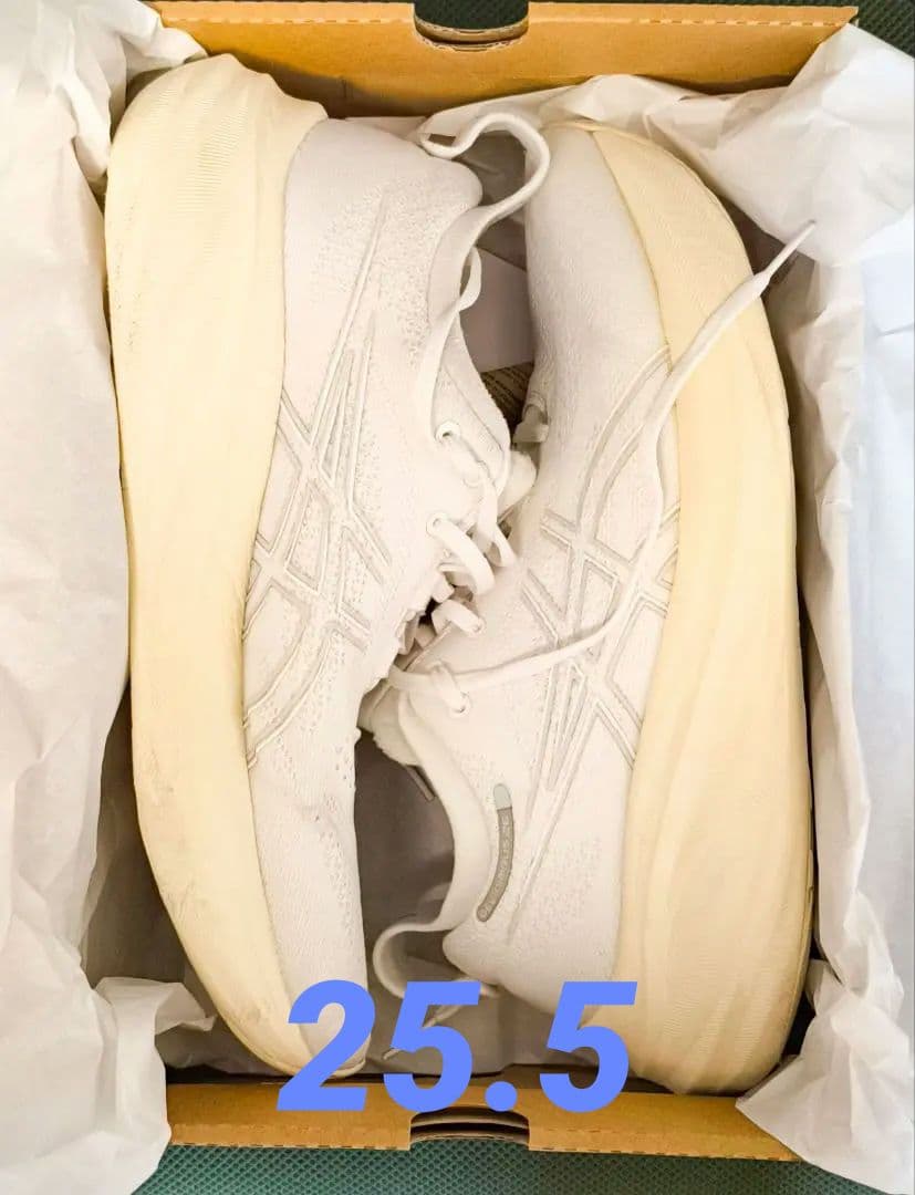 ASICS GEL-NIMBUS 26 ゲルニンバス 26 25.5cm