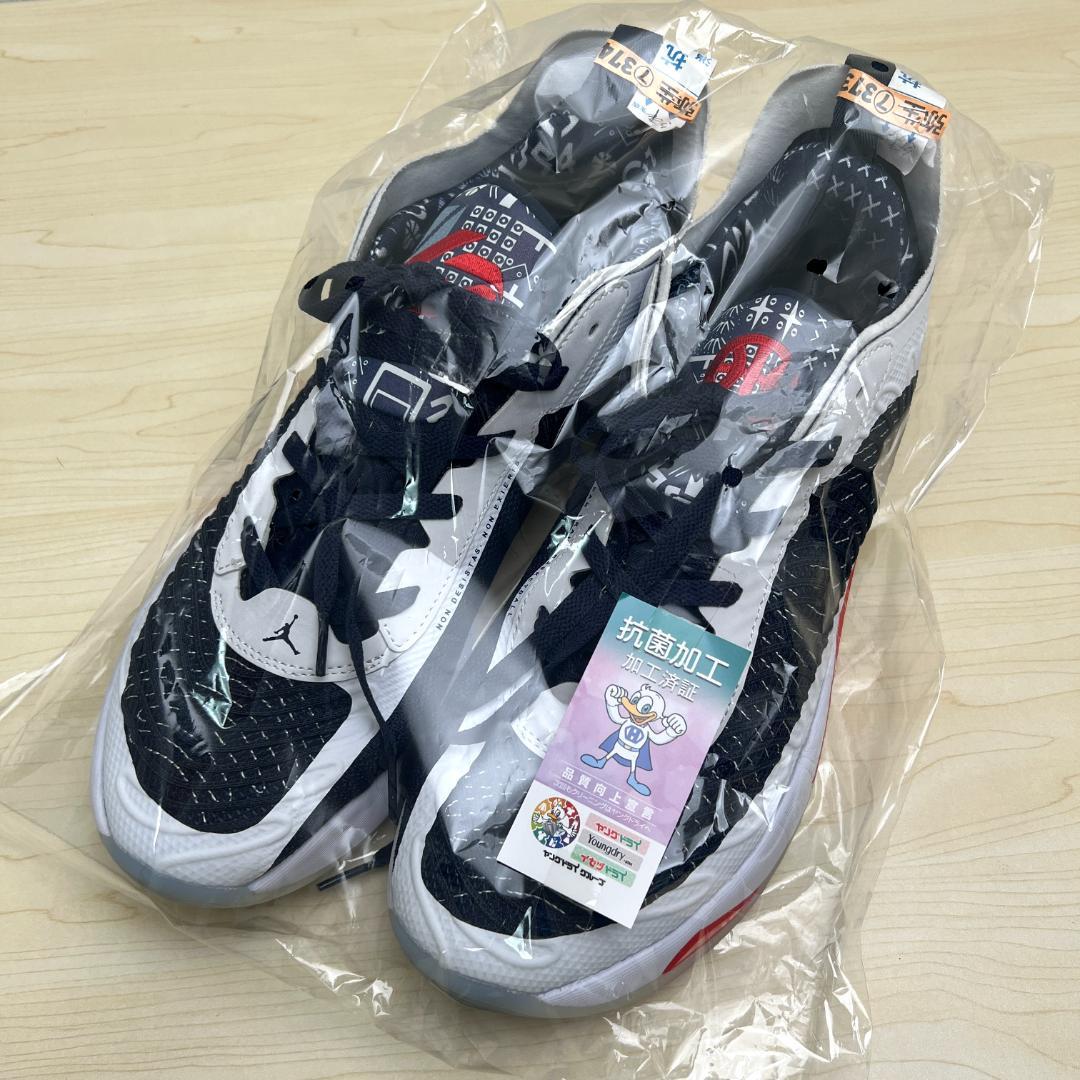 NIKE ナイキ エアジョーダン ルカ 30cm バスケットボールシューズ