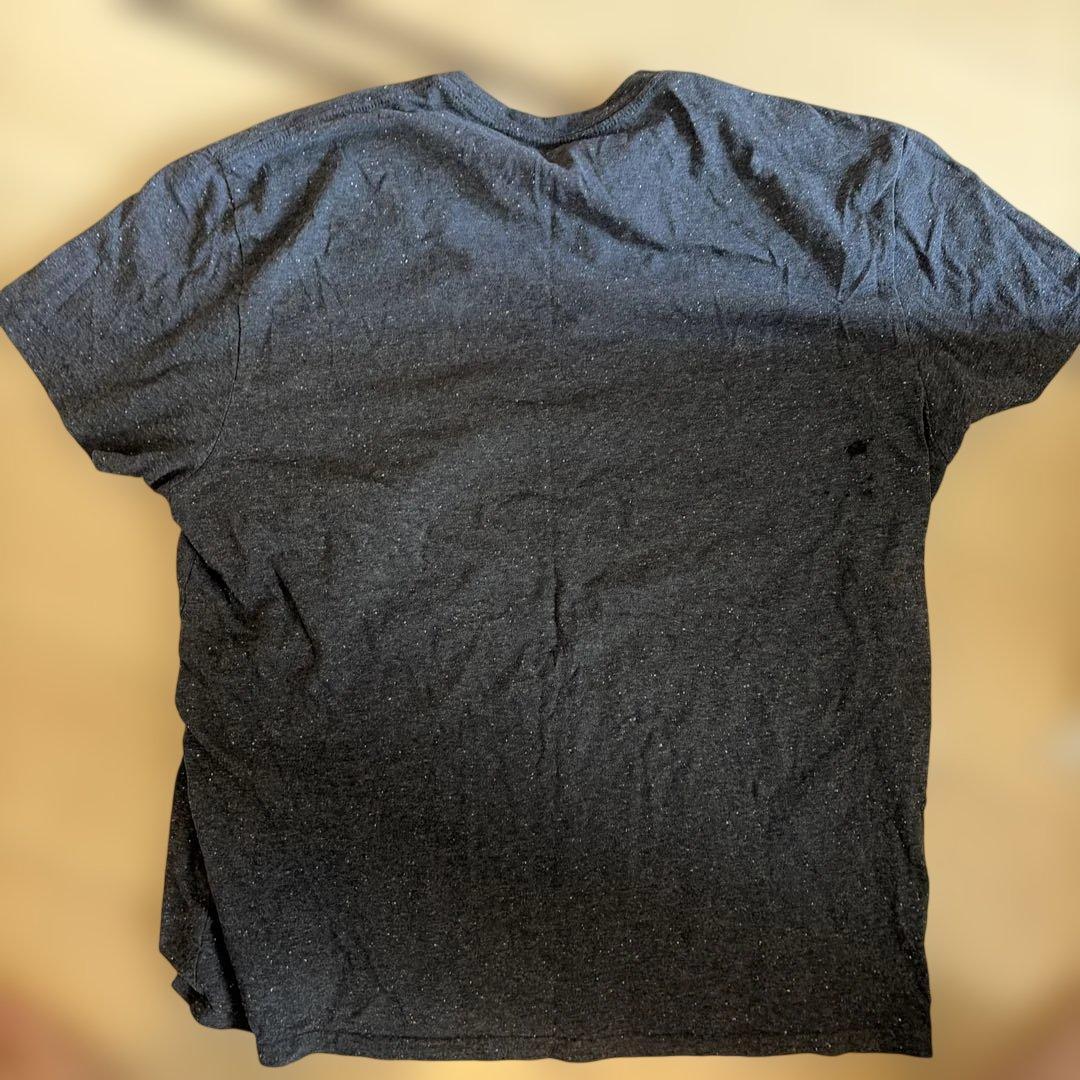 PINK FLOYD プリントTシャツ ダークグレー 2xl 狂気