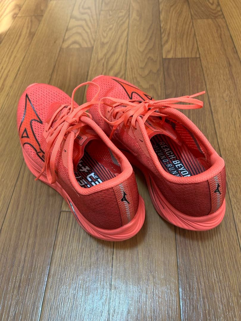 Mizuno ウェーブリベリオンフラッシュ2（25.5cm） ランニングシューズ