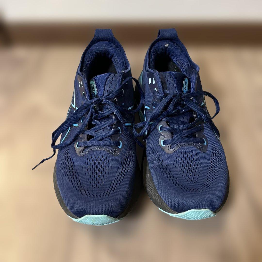 アシックス ゲルカヤノ 31 / asics GEL KAYANO