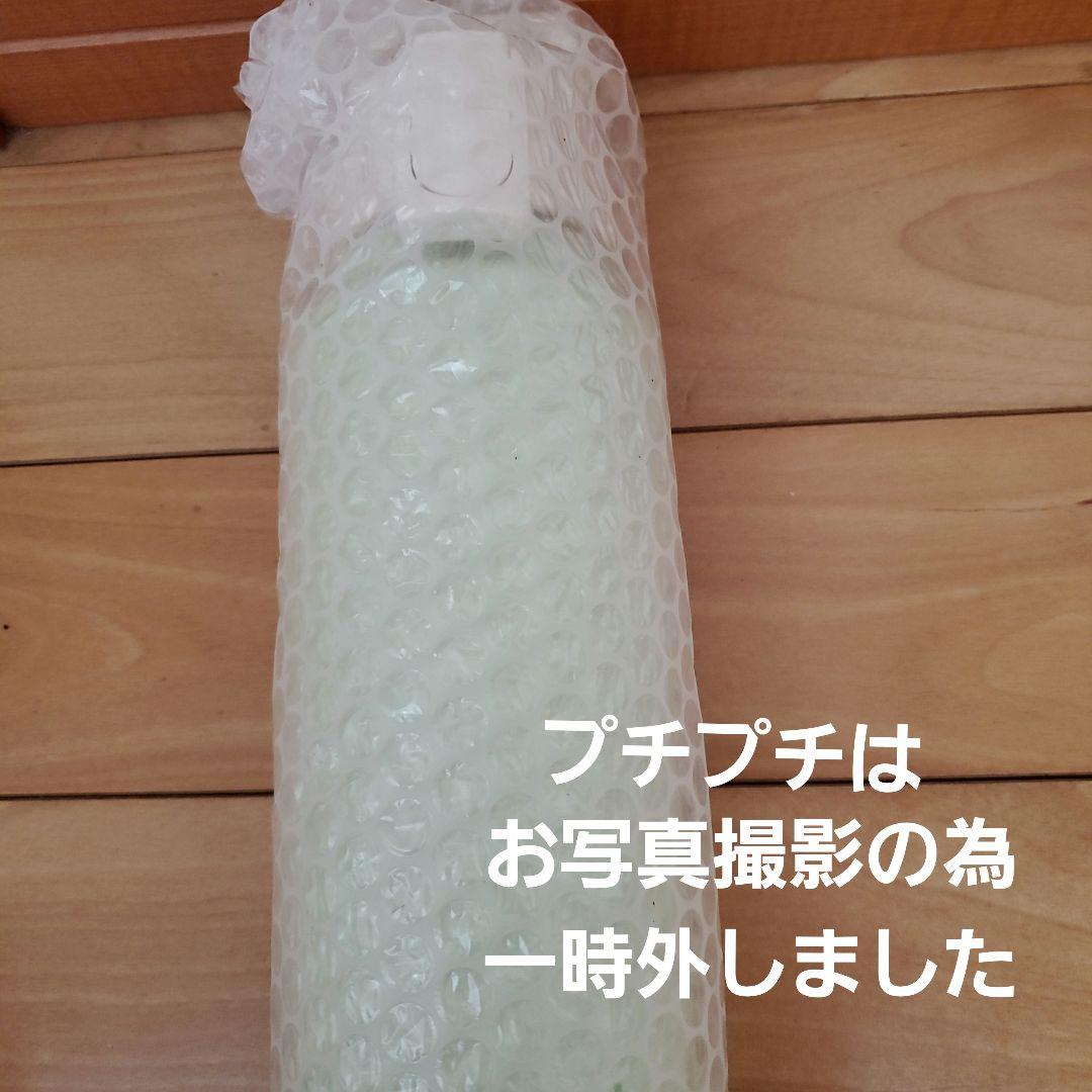 SUKALA ワイドマウスボトル SIGG 【新品未使用】メロン