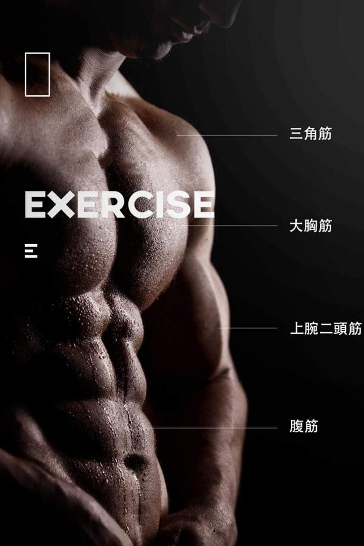 アームバー 胸筋トレーニング 油圧式 筋トレグッズ 10～200kg調整可