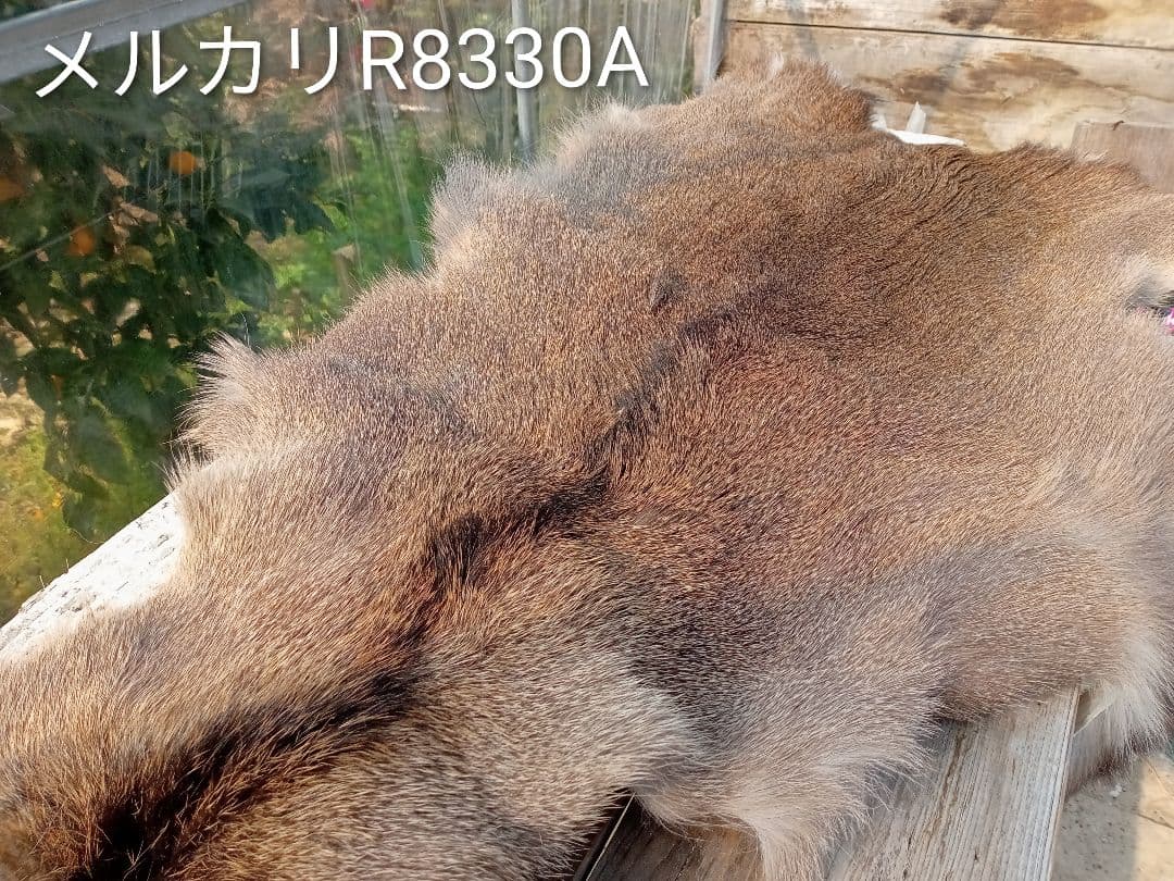 天然日本鹿の冬毛皮　ラグ