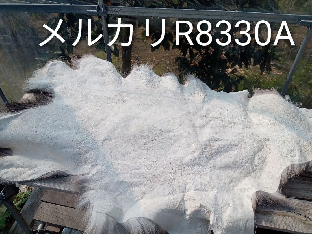 天然日本鹿の冬毛皮　ラグ