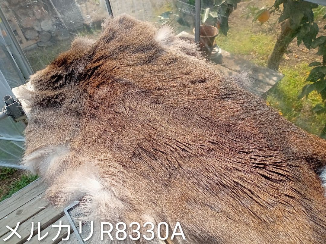 天然日本鹿の冬毛皮　ラグ