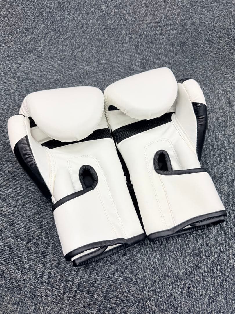 【ほぼ新品】TRAN ボクシンググローブ&パンチングミット&キックミット