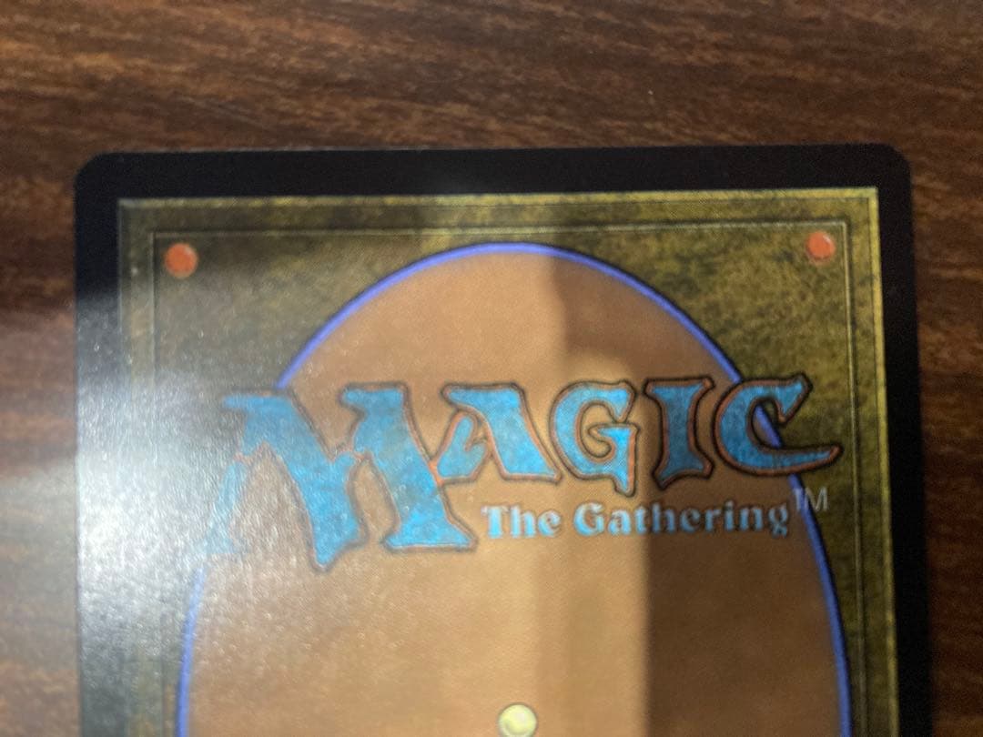 つ*ー様 《幽霊による庇護》マジック・ザ・ギャザリング MTG