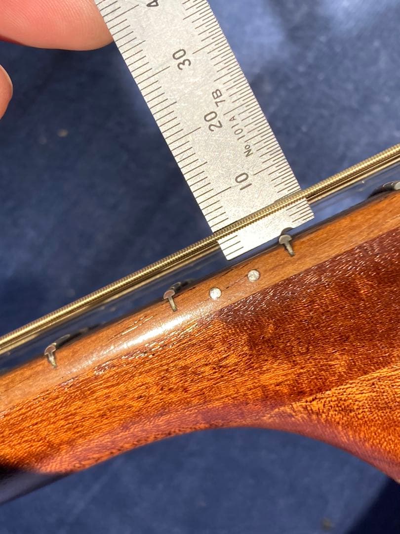 画像103枚 Taylor 214ce マットフィニッシュ テイラー エレアコ