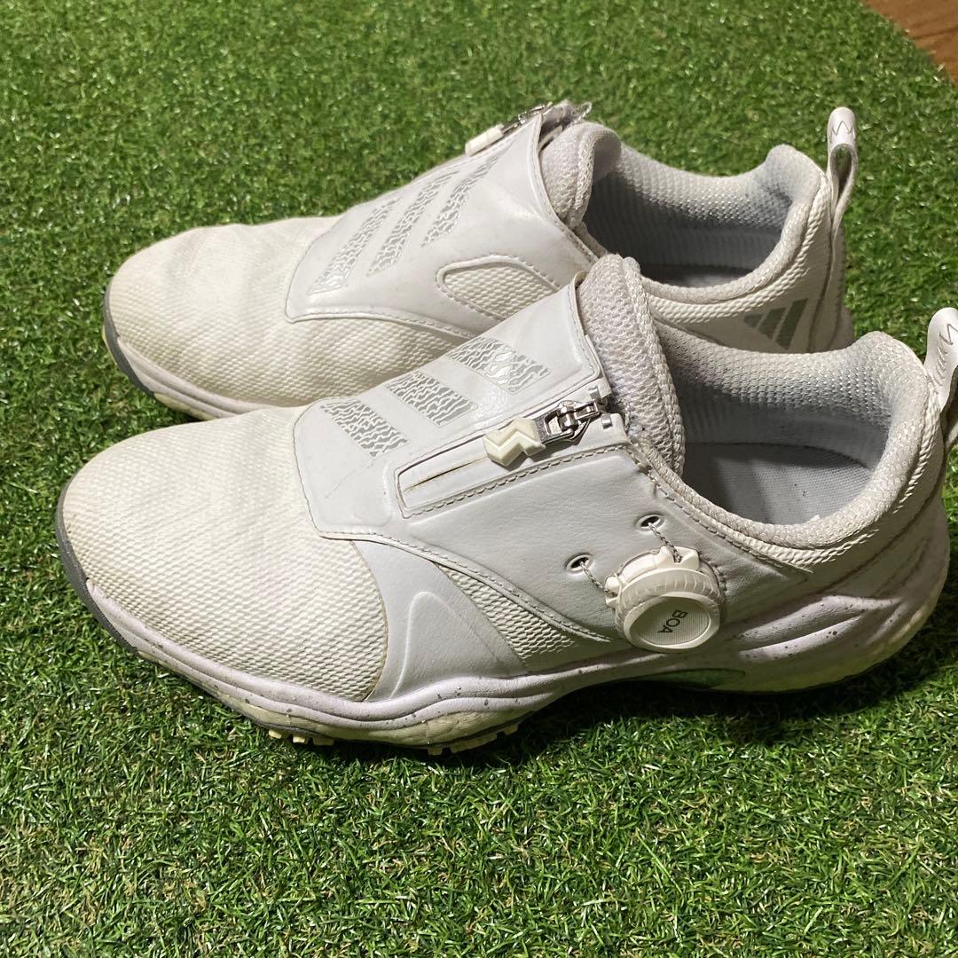 adidas 美品ゴルフシューズ ホワイト　24.5
